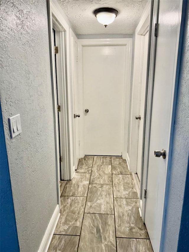 3543 Trask Dr, Holiday, FL 34691 - photo 5