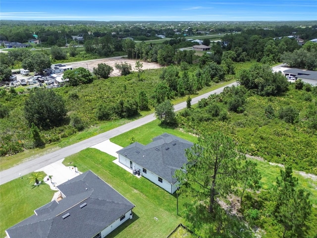 1752 Pine Ave, Lehigh Acres, FL 33972 - photo 53