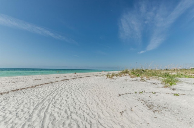 866 Bruce Ave, Clearwater Beach, FL 33767 - photo 14