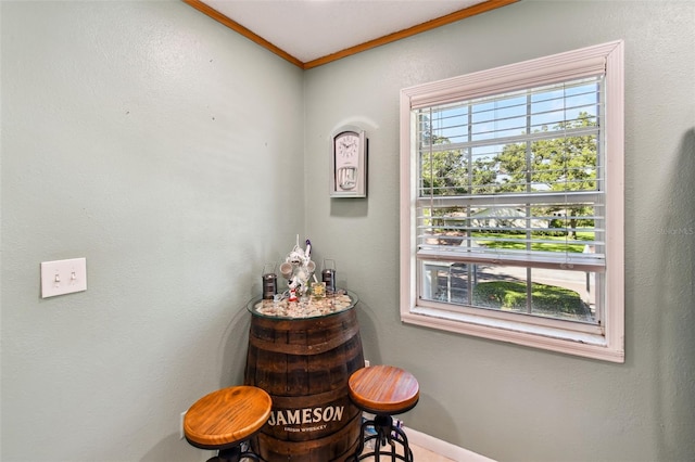 1420 Oak Hill Dr Unit 203, Dunedin, FL 34698 - photo 15