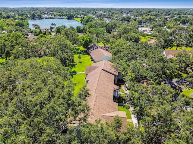 1420 Oak Hill Dr Unit 203, Dunedin, FL 34698 - photo 42