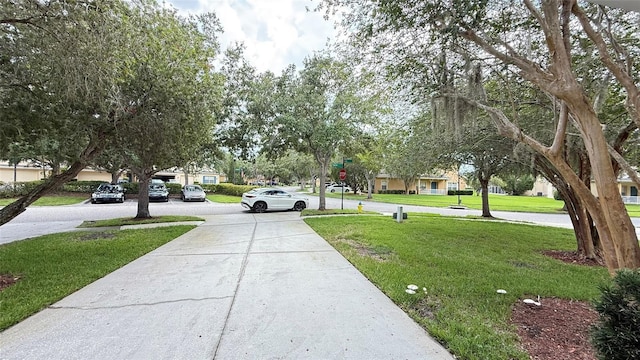 20227 Vintage Oaks Pl, Tampa, FL 33647 - photo 6