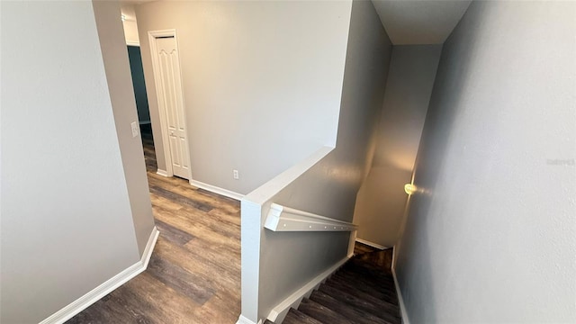 20227 Vintage Oaks Pl, Tampa, FL 33647 - photo 18