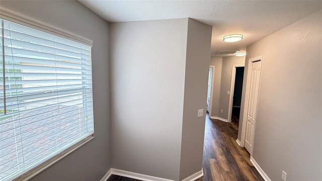 20227 Vintage Oaks Pl, Tampa, FL 33647 - photo 20