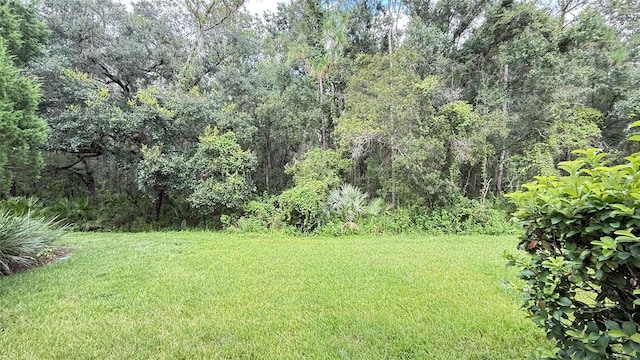 20227 Vintage Oaks Pl, Tampa, FL 33647 - photo 36