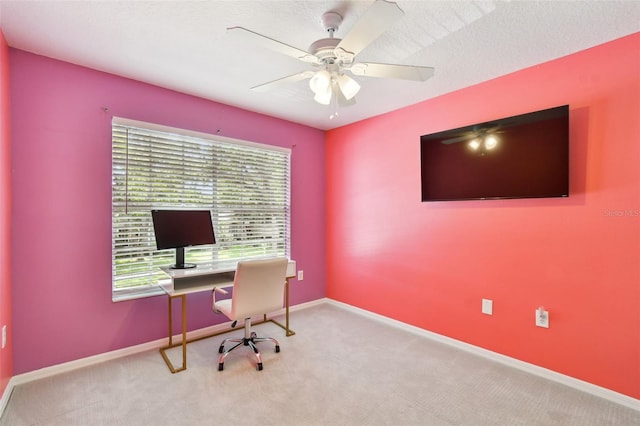 17737 Esprit Dr, Tampa, FL 33647 - photo 29