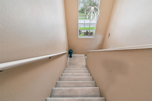 17737 Esprit Dr, Tampa, FL 33647 - photo 34