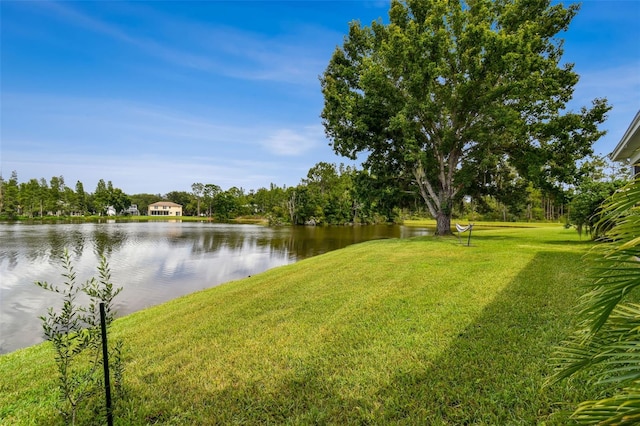 17737 Esprit Dr, Tampa, FL 33647 - photo 63