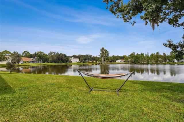 17737 Esprit Dr, Tampa, FL 33647 - photo 64