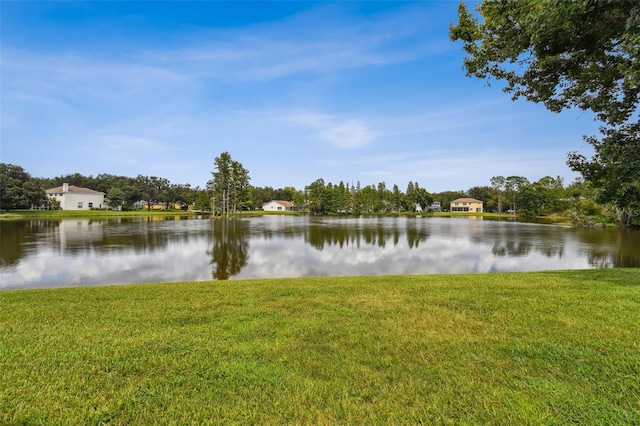 17737 Esprit Dr, Tampa, FL 33647 - photo 65