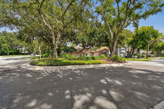 17737 Esprit Dr, Tampa, FL 33647 - photo 66