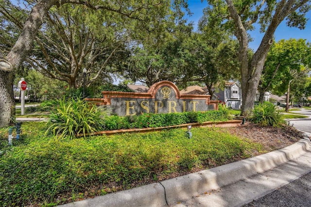 17737 Esprit Dr, Tampa, FL 33647 - photo 67