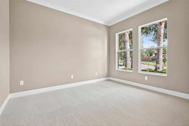 32202 Summerglade Dr, Wesley Chapel, FL 33545 - photo 13