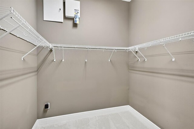 32202 Summerglade Dr, Wesley Chapel, FL 33545 - photo 36
