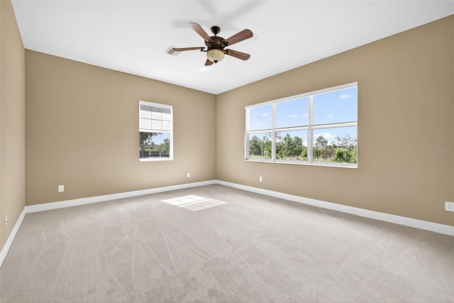 32202 Summerglade Dr, Wesley Chapel, FL 33545 - photo 50