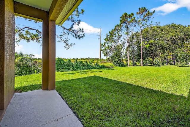 32202 Summerglade Dr, Wesley Chapel, FL 33545 - photo 57