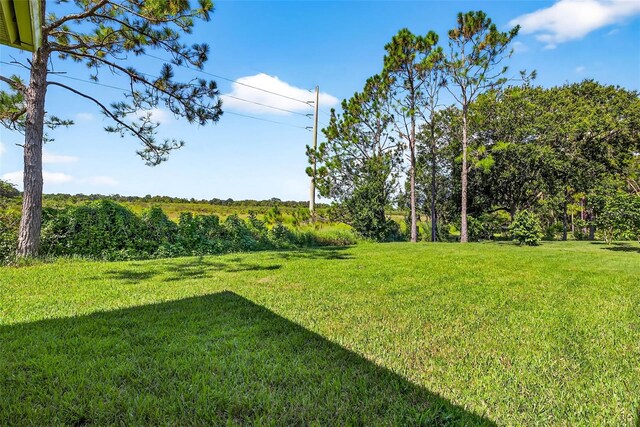 32202 Summerglade Dr, Wesley Chapel, FL 33545 - photo 59