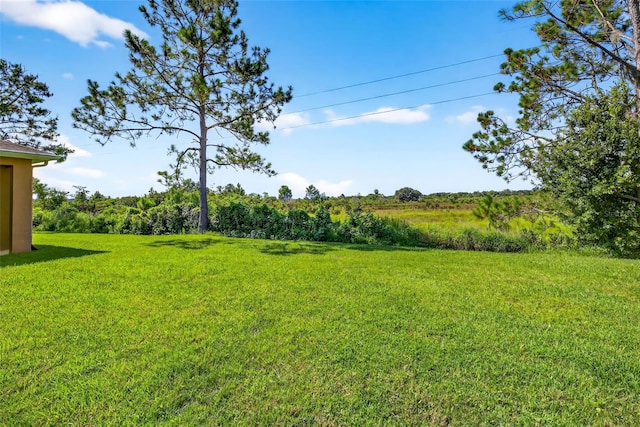 32202 Summerglade Dr, Wesley Chapel, FL 33545 - photo 60