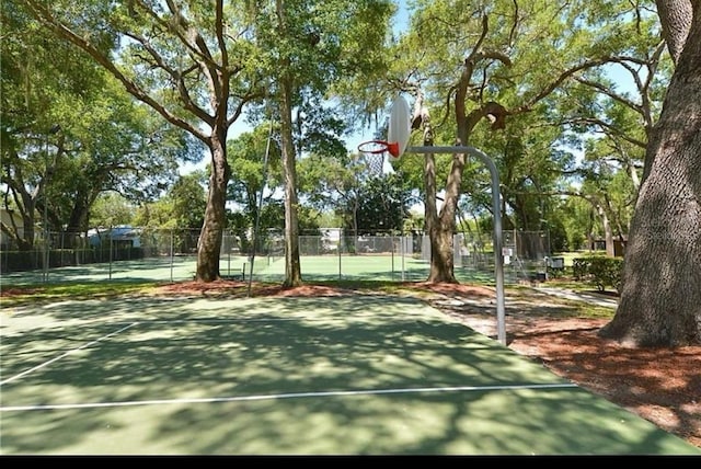 3300 Fox Chase Cir N Unit 232, Palm Harbor, FL 34683 - photo 25