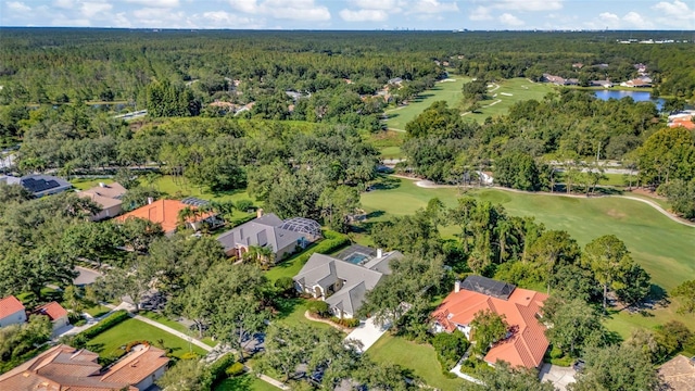 8910 Magnolia Chase Cir, Tampa, FL 33647 - photo 5