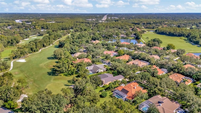 8910 Magnolia Chase Cir, Tampa, FL 33647 - photo 6