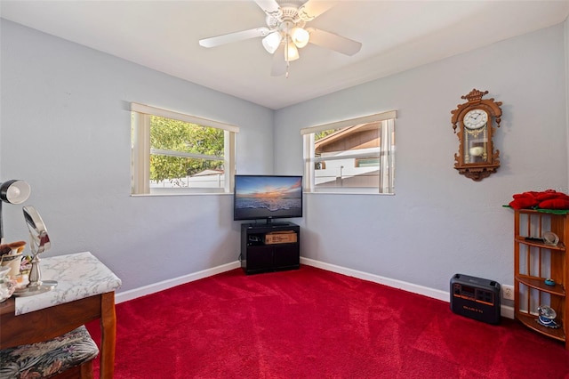 4360 82nd Ave N, Pinellas Park, FL 33781 - photo 15