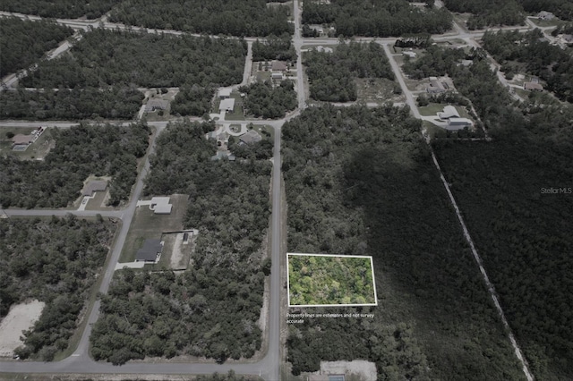 4354 W Findlay St, Citrus Springs, FL 34433 - photo 1