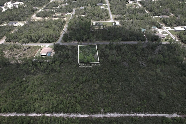 4354 W Findlay St, Citrus Springs, FL 34433 - photo 2