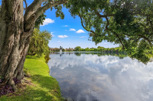 785 S Village Dr N Unit 202, Saint Petersburg, FL 33716 - photo 24