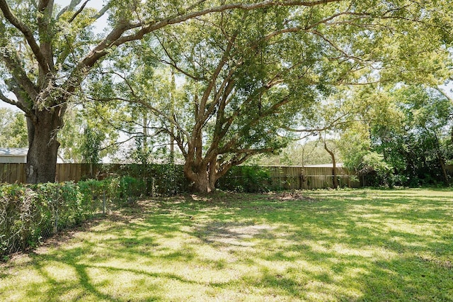 18410 Sterling Silver Cir, Lutz, FL 33549 - photo 29