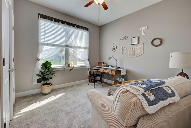 451 Daylily Blvd, Nokomis, FL 34275 - photo 21