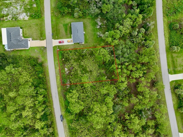 534 Sargent St, Lehigh Acres, FL 33972 - photo 2