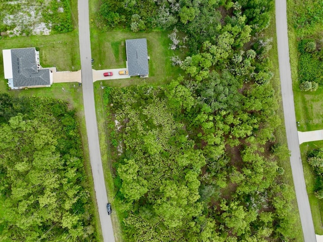 534 Sargent St, Lehigh Acres, FL 33972 - photo 4