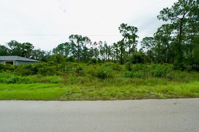 534 Sargent St, Lehigh Acres, FL 33972 - photo 11