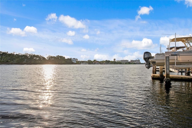 1155 Abbeys Way, Tampa, FL 33602 - photo 39