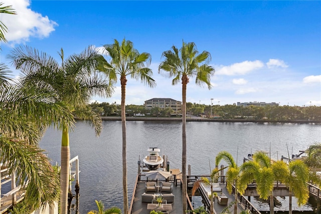 1155 Abbeys Way, Tampa, FL 33602 - photo 45