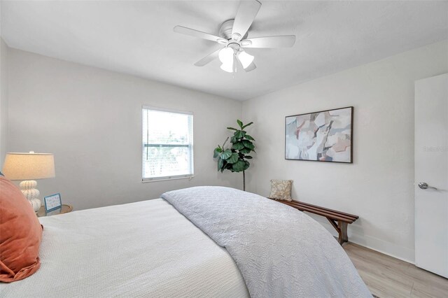 1113 55th St S, Gulfport, FL 33707 - photo 13