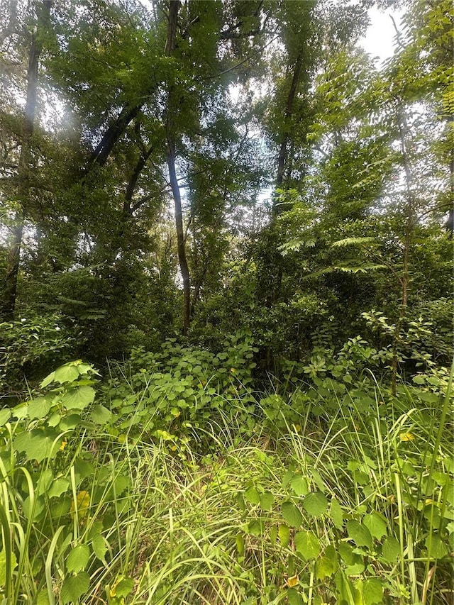 224 Old Mulrennan Rd, Valrico, FL 33594 - photo 2