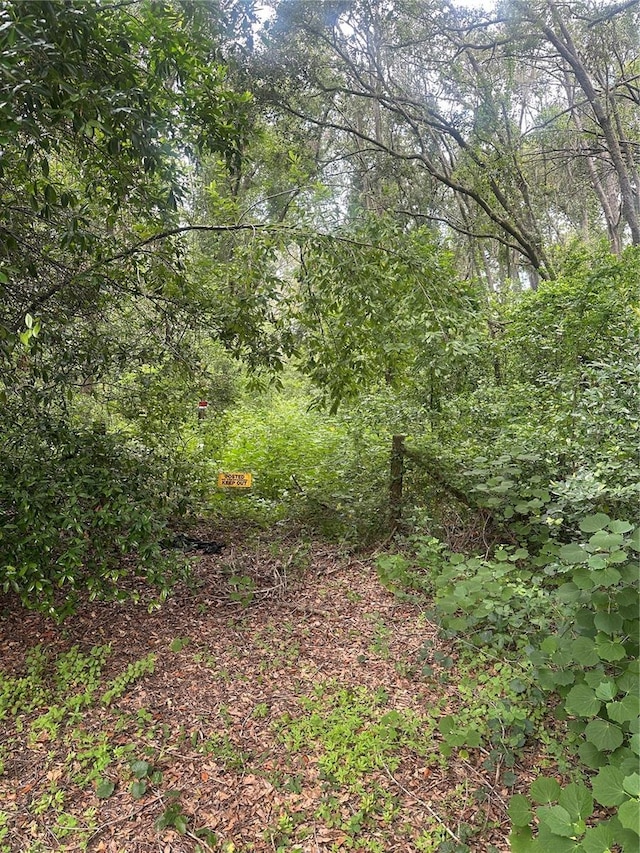 224 Old Mulrennan Rd, Valrico, FL 33594 - photo 6