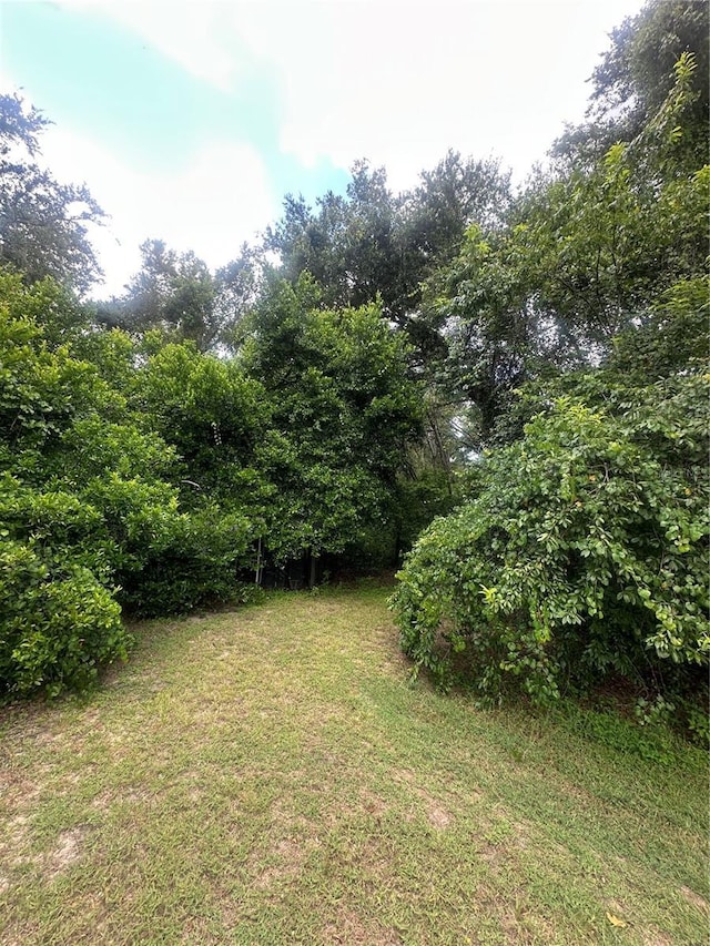 224 Old Mulrennan Rd, Valrico, FL 33594 - photo 8