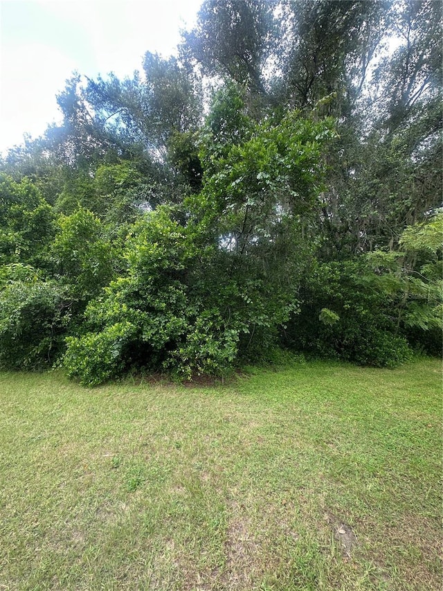 224 Old Mulrennan Rd, Valrico, FL 33594 - photo 9