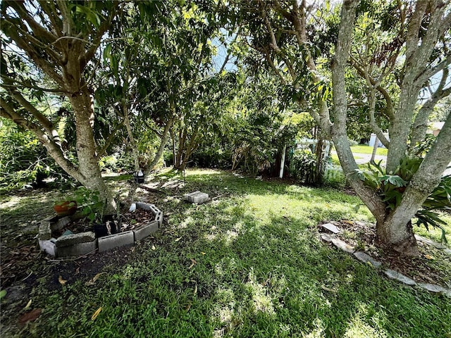261 Calais Ln, Clearwater, FL 33759 - photo 68