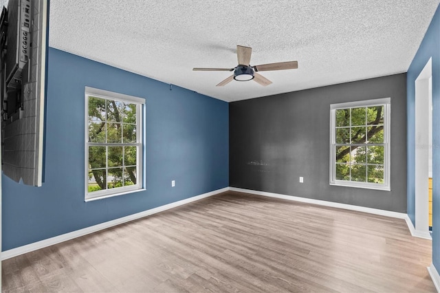 330 Promenade Dr Unit 205, Dunedin, FL 34698 - photo 14