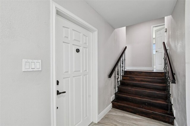 4506 S Cortez Ave, Tampa, FL 33611 - photo 15
