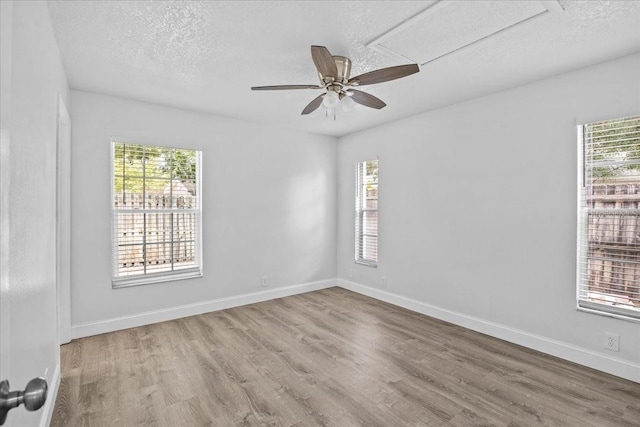 1912 Castle Bay Ct, Oldsmar, FL 34677 - photo 22