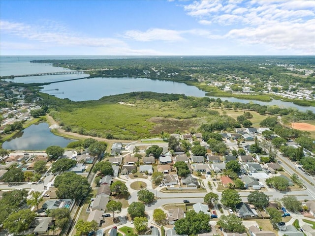 1912 Castle Bay Ct, Oldsmar, FL 34677 - photo 34