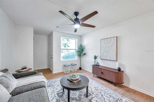 4514 La Capri Ct, Tampa, FL 33611 - photo 2