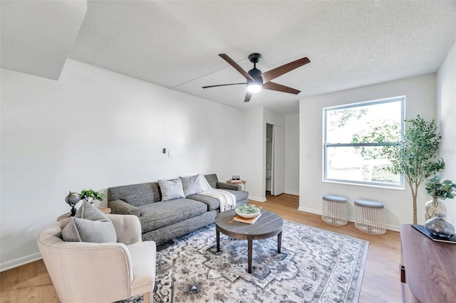 4514 La Capri Ct, Tampa, FL 33611 - photo 3
