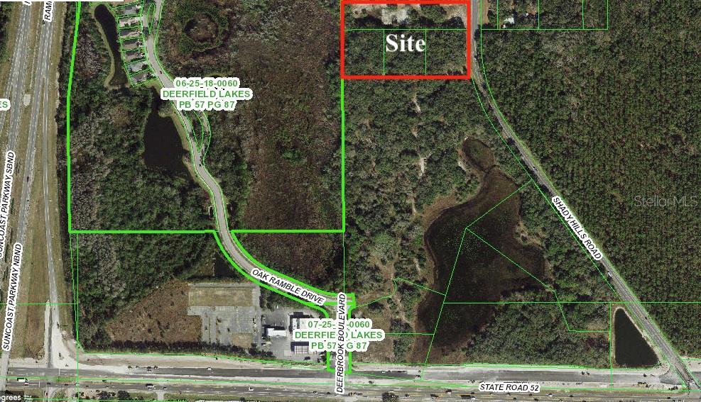12231 Shady Hills Rd, Spring Hill, FL 34610 - photo 2