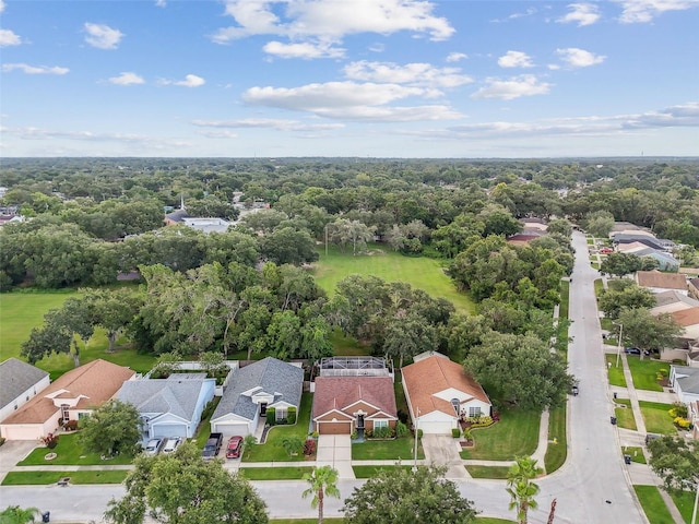 2617 Pegasus Ct, Brandon, FL 33511 - photo 63